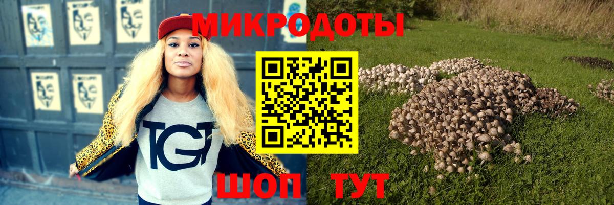 Галлюциногенные грибы Psilocybe  Вход с VPN  Клин  Псилоцибиновые грибы мицелий 